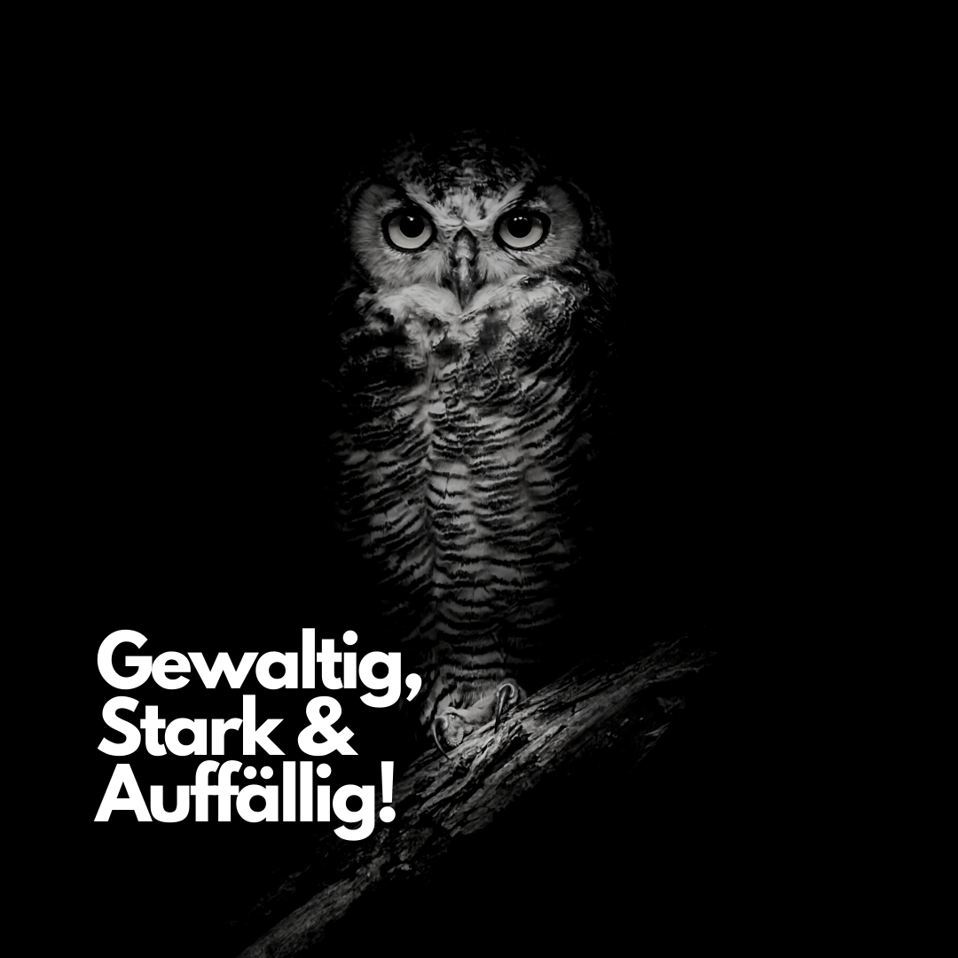 Kontakt-MGB