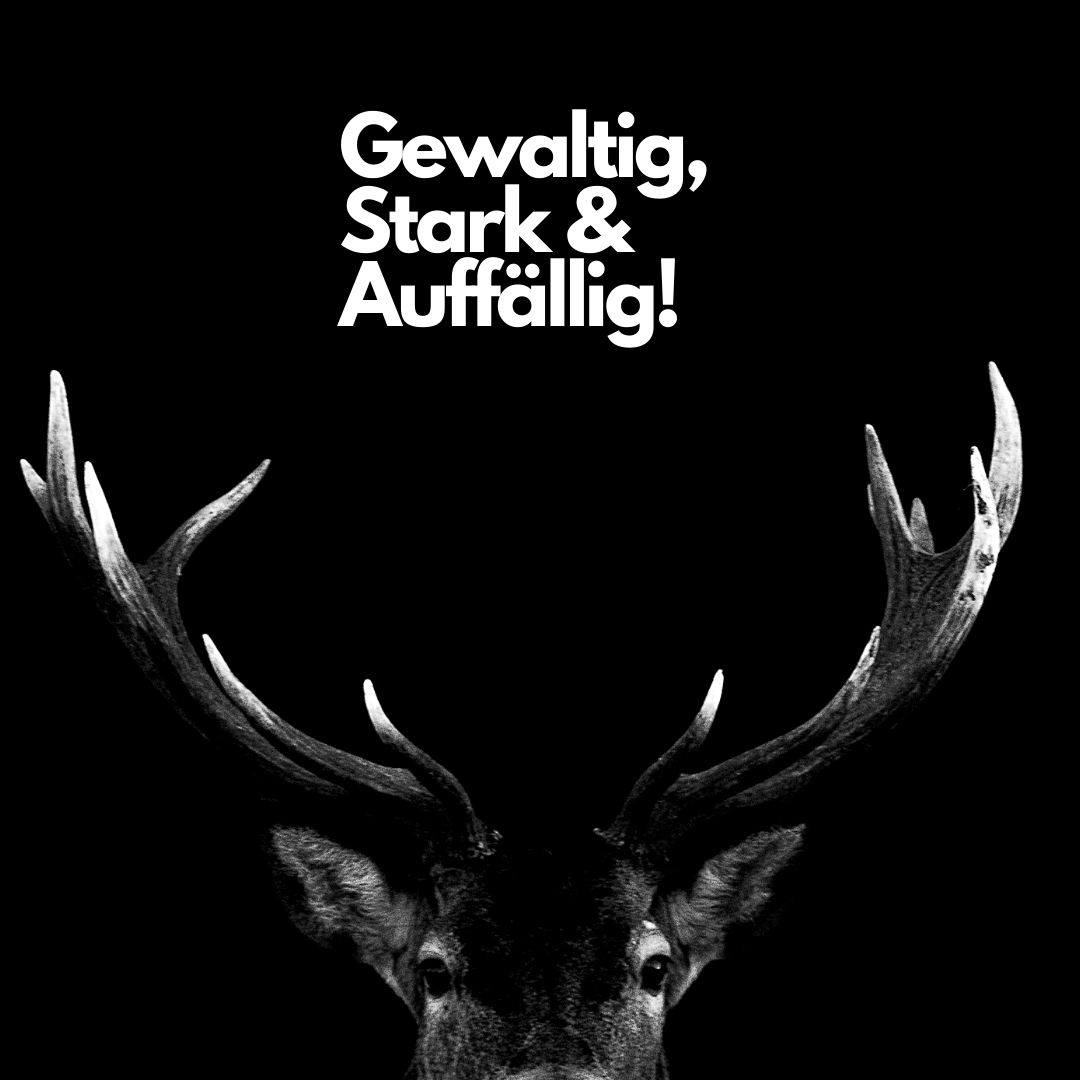 Kontakt-MGB