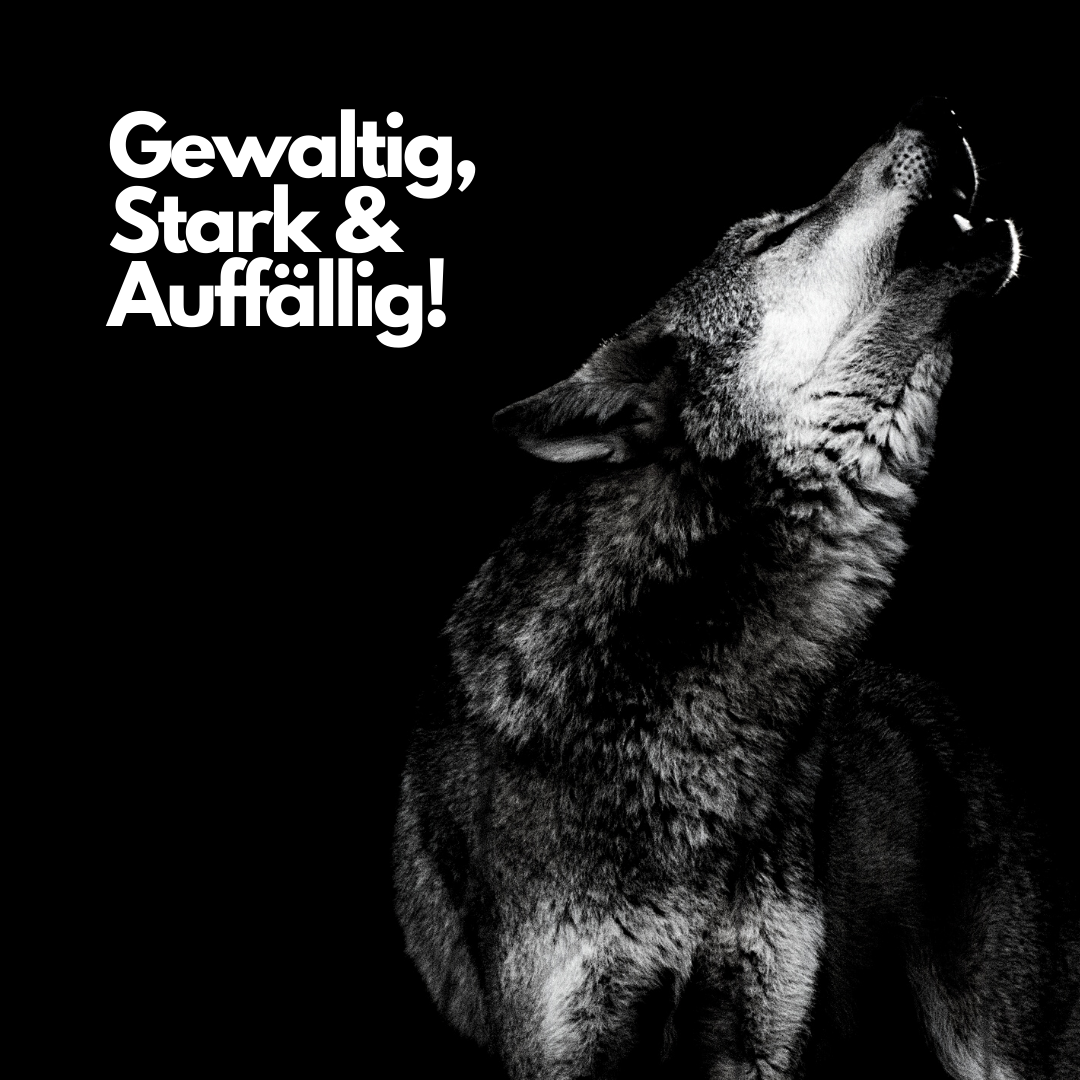 Kontakt-MGB